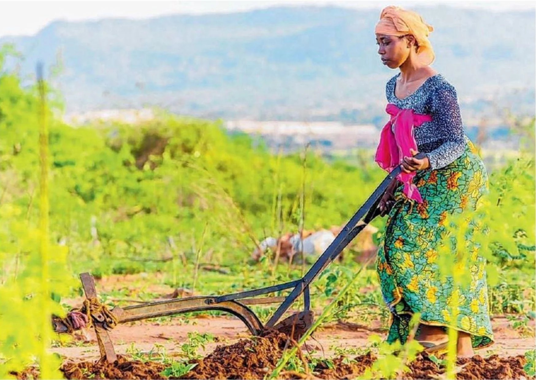 Promoting equitable participation in agricultural value chains in East 